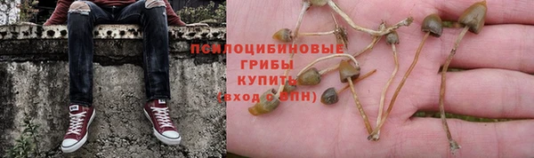 стафф Алзамай