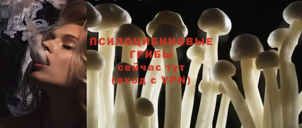 гашик Абдулино