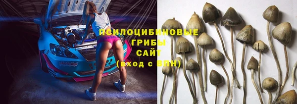 стафф Алзамай