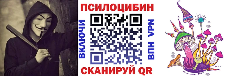 Галлюциногенные грибы Cubensis  нарко площадка какой сайт  Ахтырский 