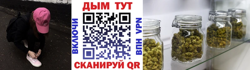 Канабис планчик  Ахтырский 